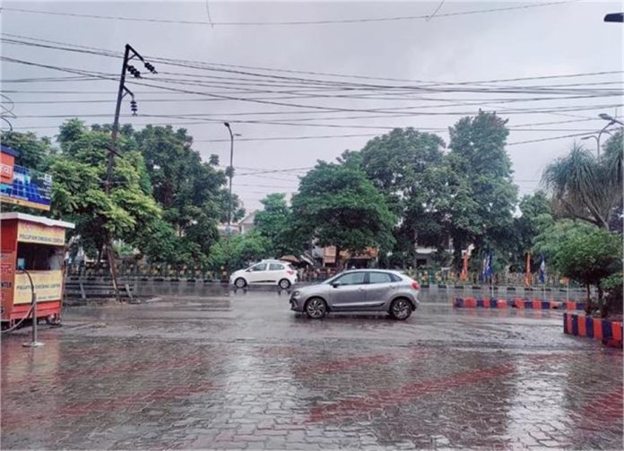 2025_2image_11_49_371389147untitled858-ll