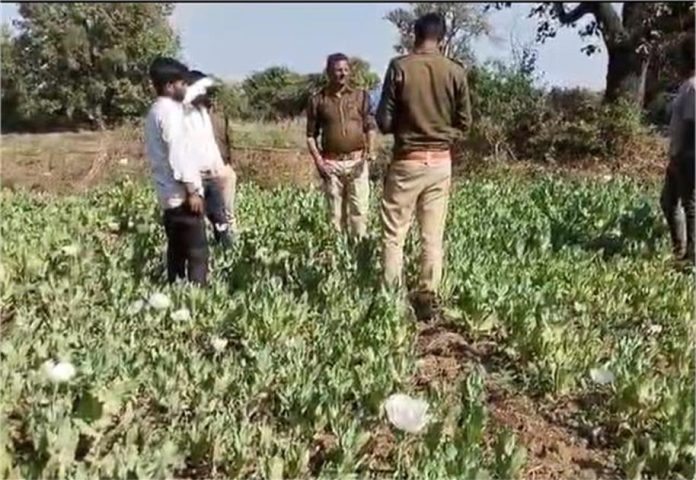 2025_2image_12_42_123207052himk-ll