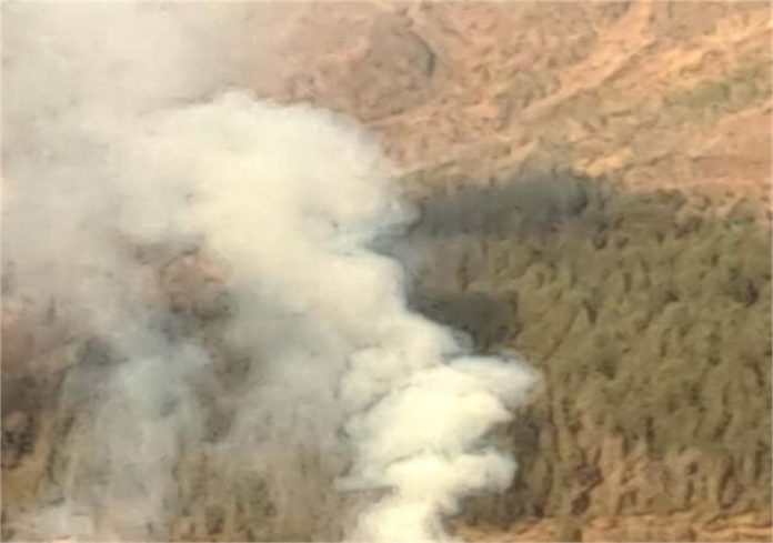 2025_2image_14_21_088536110fireinkinnaur-ll