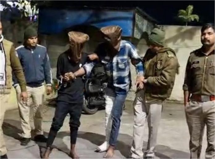 2025_2image_14_53_422133723lhhlp-ll