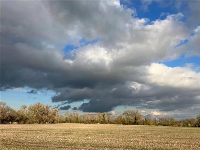 2025_2image_16_20_118321038weather-ll