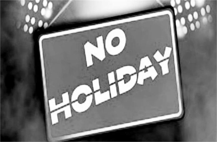 2025_2image_21_24_317438446holidays-ll