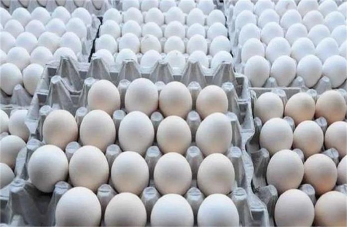 2025_3image_08_30_218178629eggs-ll