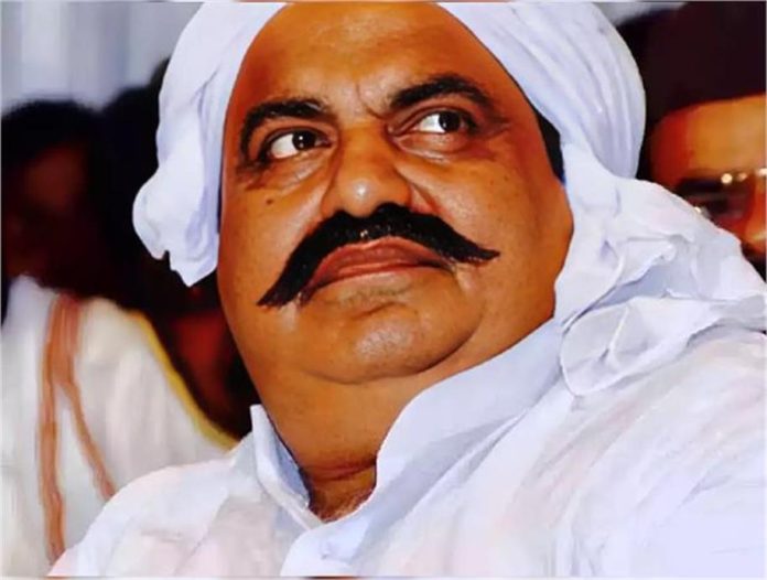 2025_3image_10_23_587030116atiqahamd-ll