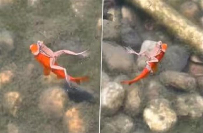 2025_3image_11_03_110985796pani-ll