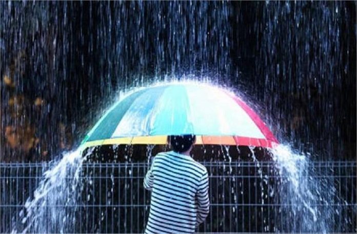 2025_3image_11_15_595279324rain-ll