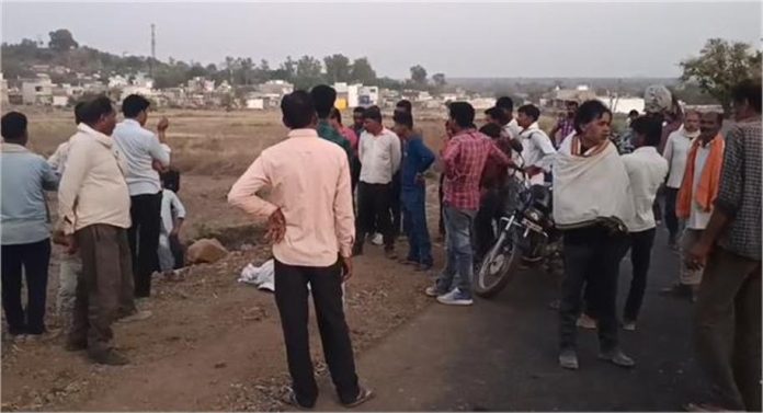 2025_3image_11_22_285133265spddk-ll