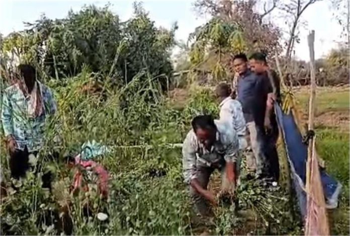 2025_3image_11_22_504985388lepek-ll