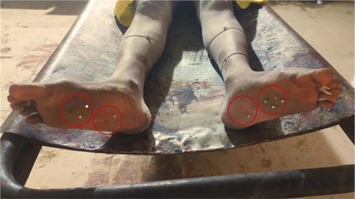 2025_3image_11_42_507047951dead-ll