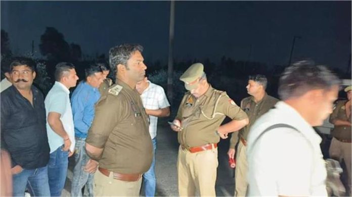 2025_3image_11_53_488319935untitled58544-ll