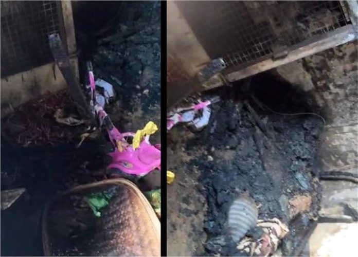 2025_3image_13_18_177230854untitled695974-ll