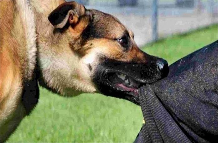 2025_3image_13_25_5253686557-ll