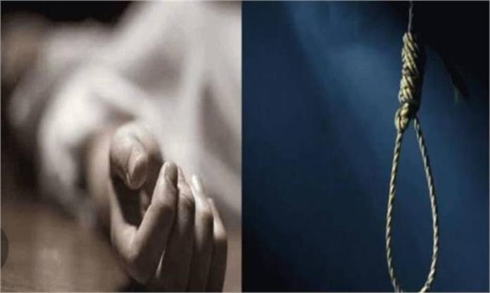 2025_3image_14_31_245159716foranjeb-ll