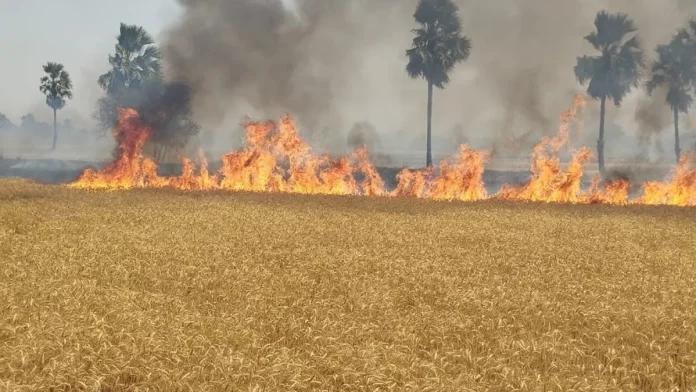 26_04_2024-nawada_news_today_26_april_23705239_14642677