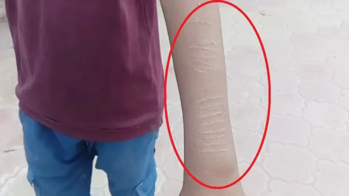 67e3a9ecab452-20250326-261655970-16x9