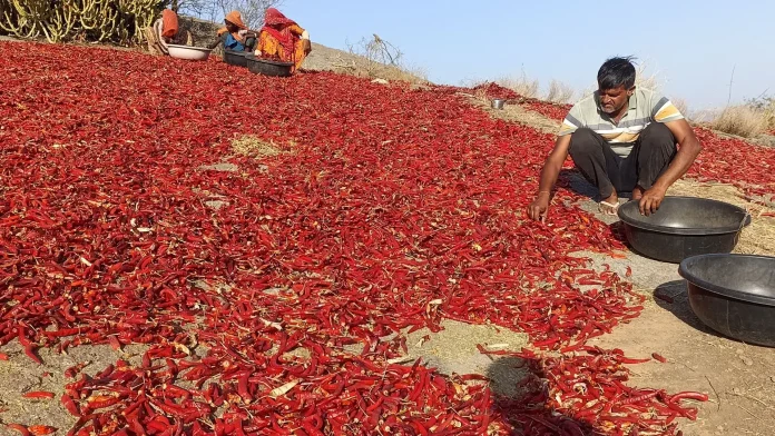 ll-maraca-bna-shana_214306476013774ab2190f48a736679c