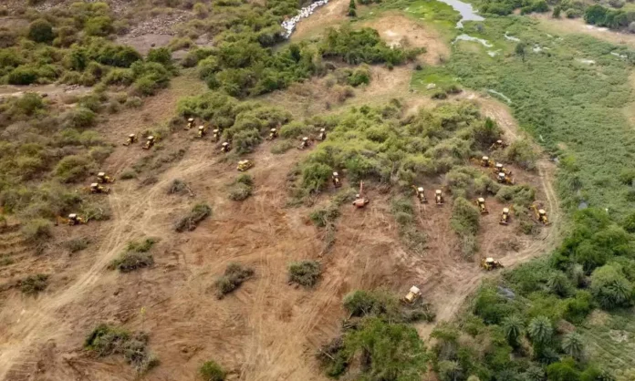 1960220-satellite-images-show-the-destruction-of-kancha-gachibowli-forest