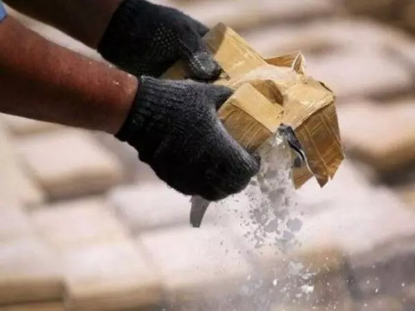 4490892-ani-20250331105641