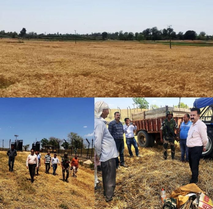 8425525394202525055827