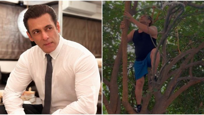 861091525_salman-khan