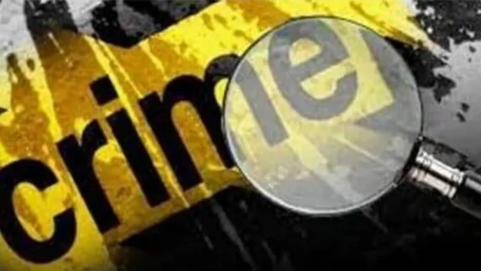 Crime_1730563414323_1730563438617