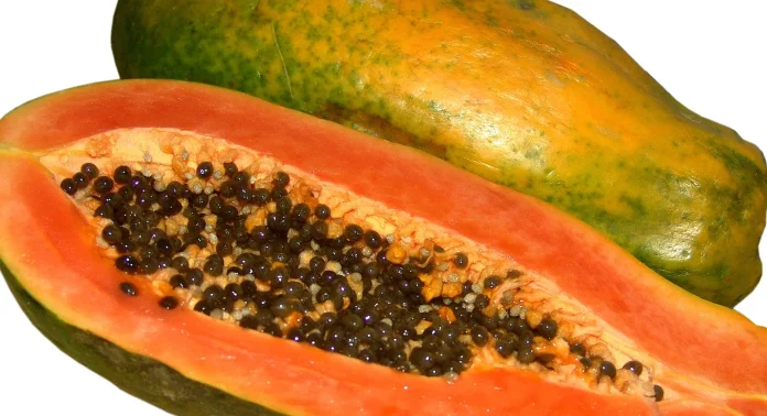 Papaya-fruit