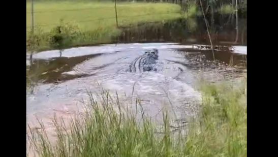 Screenshot_2025-04-01_192346_1743515692224_1743515699376