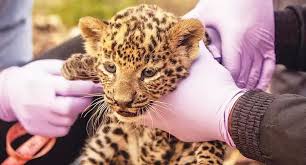 images - 2025-04-15T183152.105