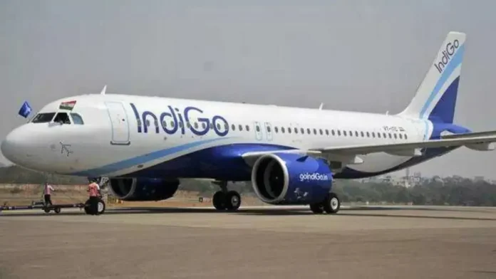 indigo-1744015774