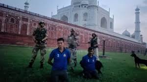 download - 2025-05-11T113308.038