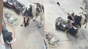 download - 2025-05-13T182655.339