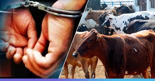 download - 2025-05-15T124235.780