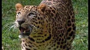 download - 2025-05-24T145146.010