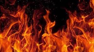 download - 2025-06-04T120656.774