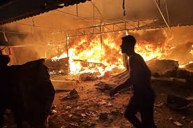 download - 2025-07-22T124613.925