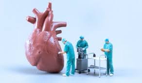 download - 2025-07-22T163716.568