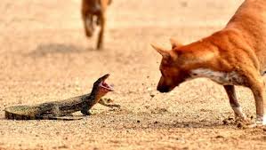 download - 2025-08-17T115223.142