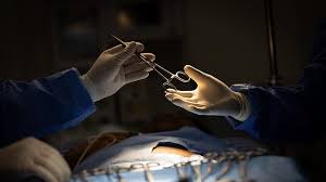 download - 2025-08-19T180044.183