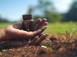 download - 2025-08-24T123927.783