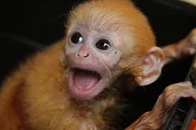 download - 2025-09-02T123900.296