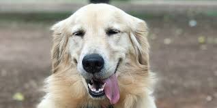 download - 2025-09-21T133244.906