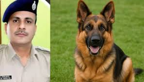 download - 2025-09-24T122912.212