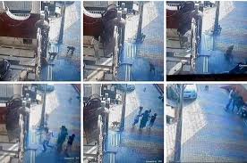 download - 2025-09-24T142225.645