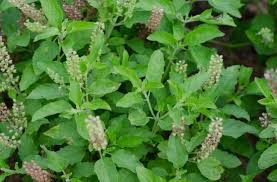 download - 2025-09-27T121752.444