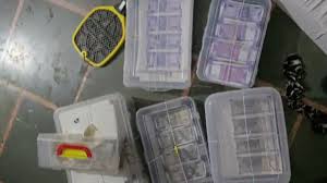 download - 2025-10-02T171331.244