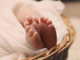 download - 2025-10-17T112604.185