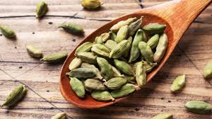 download - 2025-10-29T135051.437