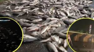 download - 2025-10-29T140518.869