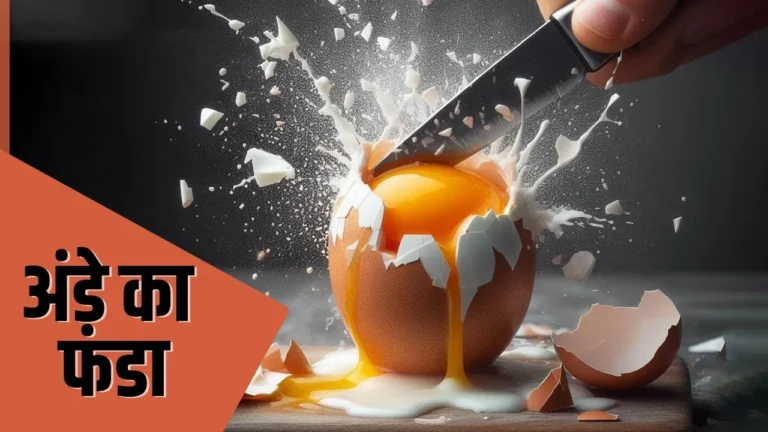 Business : मिडिल ईस्ट तनाव ने बिगाड़ा अंडे का फंडा, हुआ कुछ ऐसा कि खाने वालों की हो गई बल्ले-बल्ले.