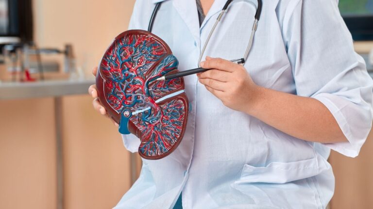 Health : आपके लिवर को भी ‘पत्थर’ बना रही डायबिटीज, हर 4 में से एक मरीज को है फाइब्रोसिस का खतरा
